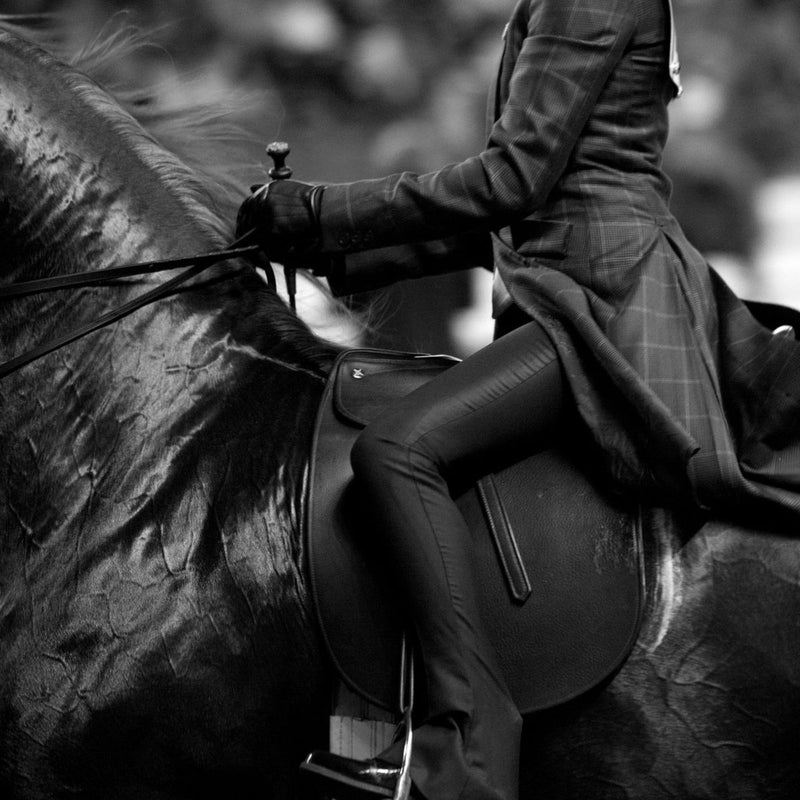 Saddle seat rider and American Saddlebred in the show ring wearing traditional saddleseat attire